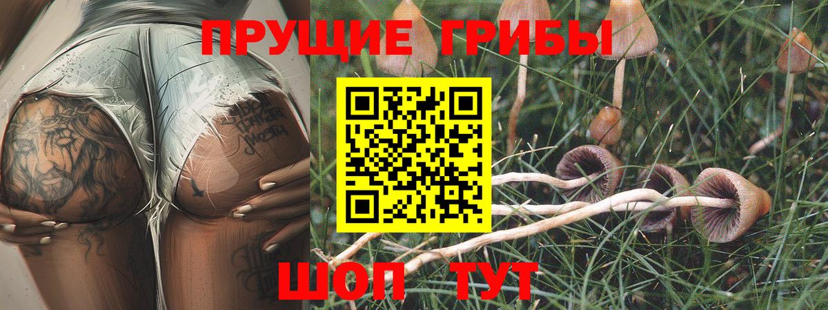 хочу   Галлюциногенные грибы Magic Shrooms  Вход с VPN  Мурино 